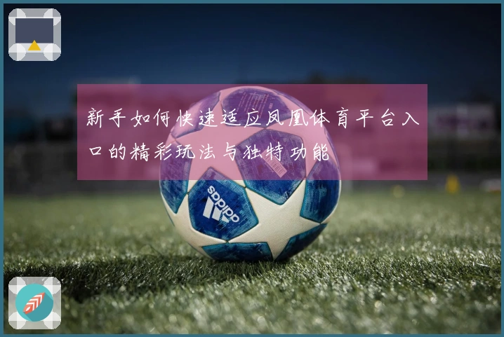 新手如何快速适应凤凰体育平台入口的精彩玩法与独特功能