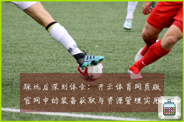 踩坑后深刻体会：开云体育网页版官网中的装备获取与资源管理实用技巧