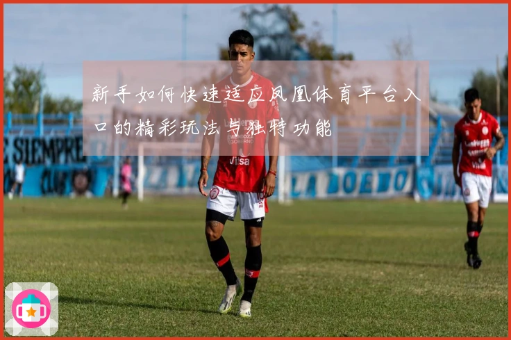 新手如何快速适应凤凰体育平台入口的精彩玩法与独特功能